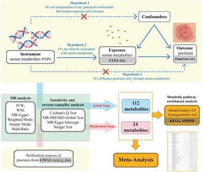 The causal relationship between serum metabolites and the risk of psoriasis: a Mendelian randomization and meta-analysis study